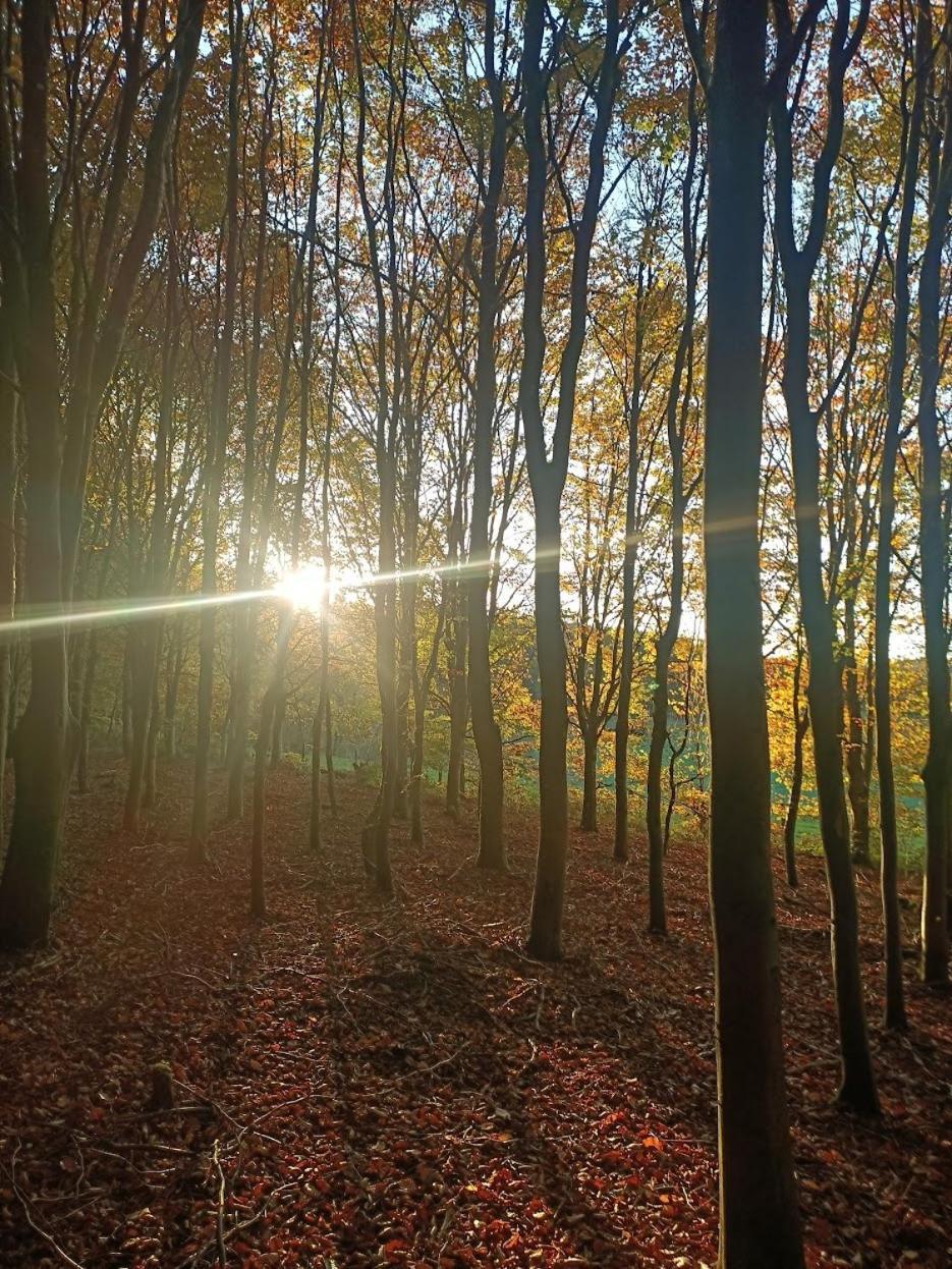 Dri Les Courtils Villa La-Roche-en-Ardenne Kültér fotó