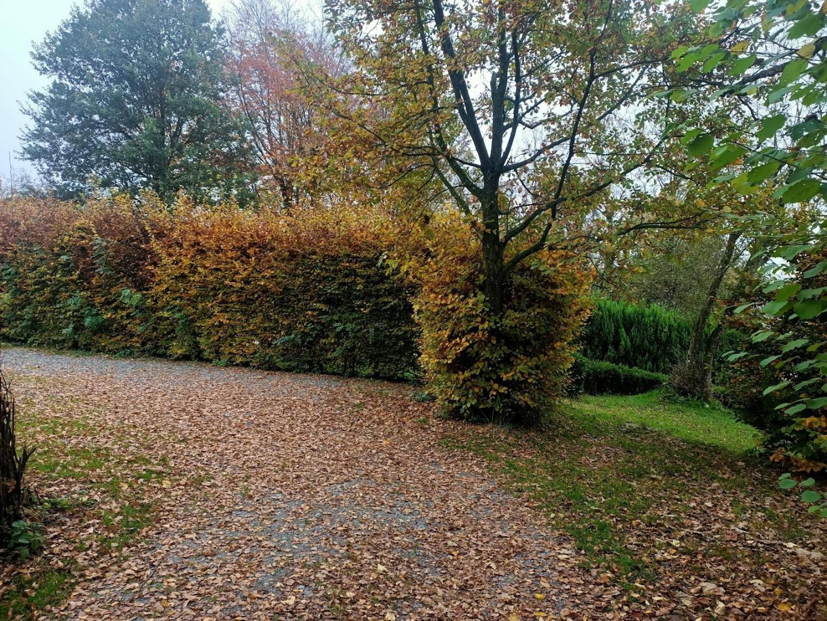 Dri Les Courtils Villa La-Roche-en-Ardenne Kültér fotó